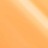 Siser EASYWEED ELECTRIC Heat Transfer Vinyl - 15" x 1 Foot - HeatPressNation