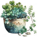 Succulent Design - HeatPressNation