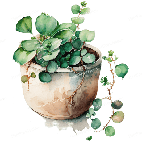 Planted Pot Design - HeatPressNation