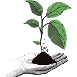 Plant in Hand Design - HeatPressNation
