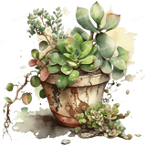 Watercolor Plant Design - HeatPressNation
