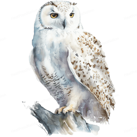 Snow Owl Left Design - HeatPressNation