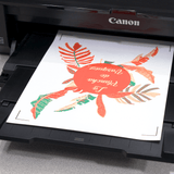Siser EasyColor™ DTV™ Inkjet Printable Heat Transfer Vinyl - 8.4" x 11" - HeatPressNation