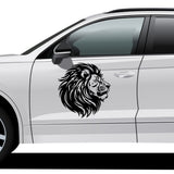 Detailed Lion Mane Vector - HeatPressNation