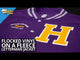 Siser STRIPFLOCK PRO Heat Transfer Material - 15" x 1 Foot