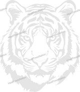 Light Tiger Vector Design - HeatPressNation